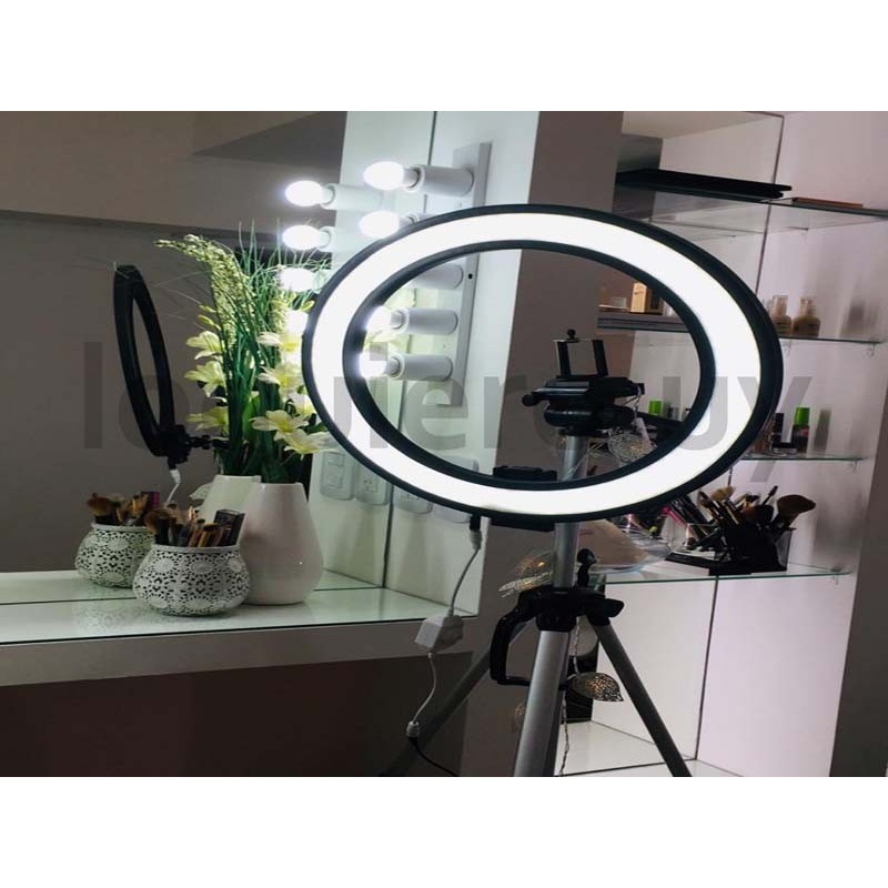 Luz maquillaje ARO 12''       .