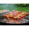 Set de pinchos 40cm blister   .