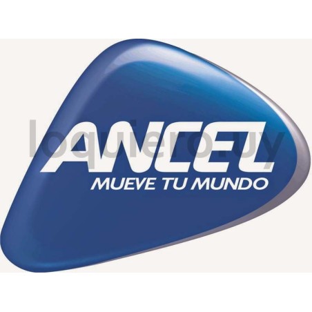 CHIP SIM ANTEL                .