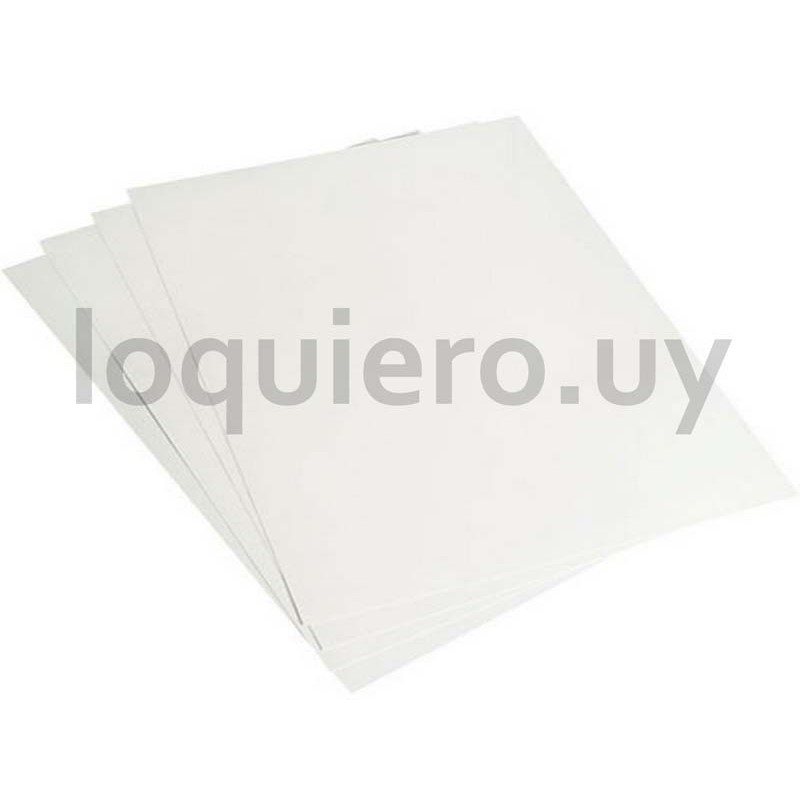 Hoja garbanzo blanco          .