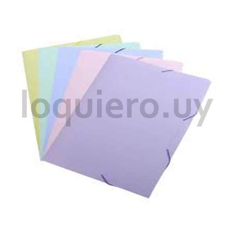 Carpeta con elástico          .