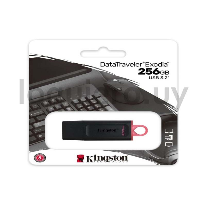 Pendrive 256Gb                .