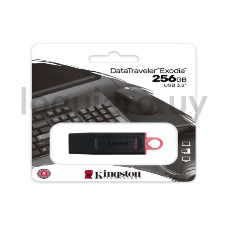 Pendrive 256Gb                .