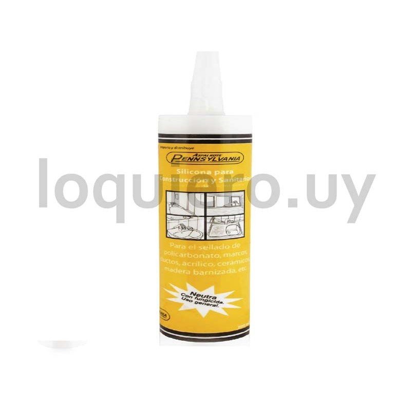 Silicona Neut.Tr. Pennsylvania.