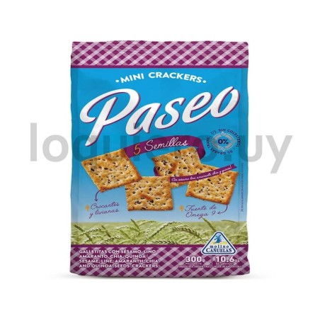 Galletas Paseo 5 semillas 300g.