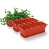 Maceta rectangular jardinera  .