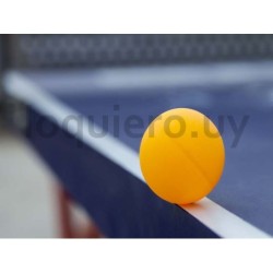 Pelota de ping pong x unidad  .