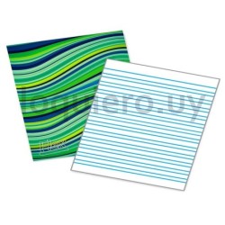 Cuaderno doble raya 48hs      .