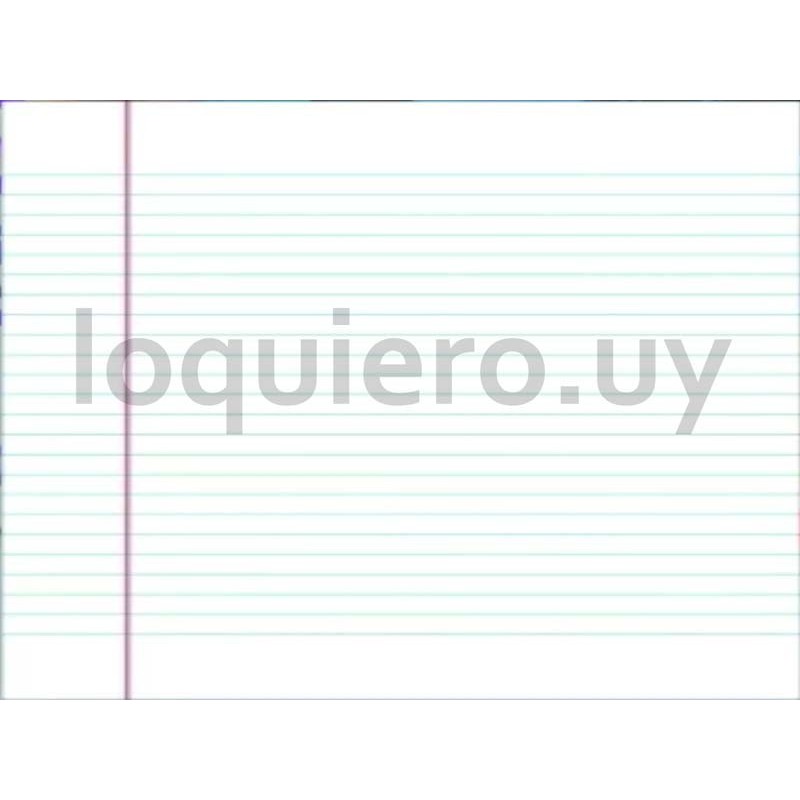 Hojas deberes margen rojo/azul.