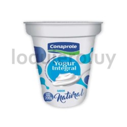 Yogur natural integral 200gr  .