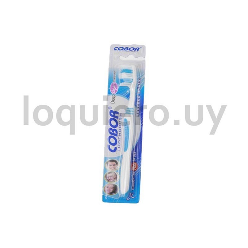 Cepillo de dientes            .