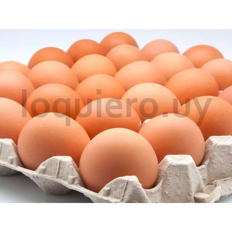 Huevos super x 30u.           .