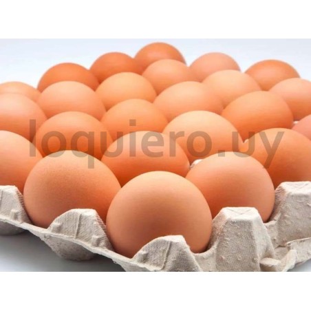 Huevos super x 30u.           .
