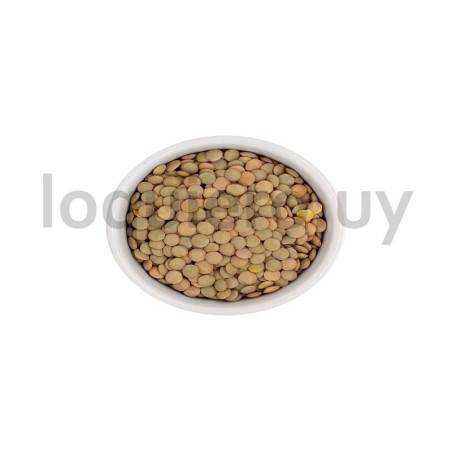 Lentejas de Diez 450g         .