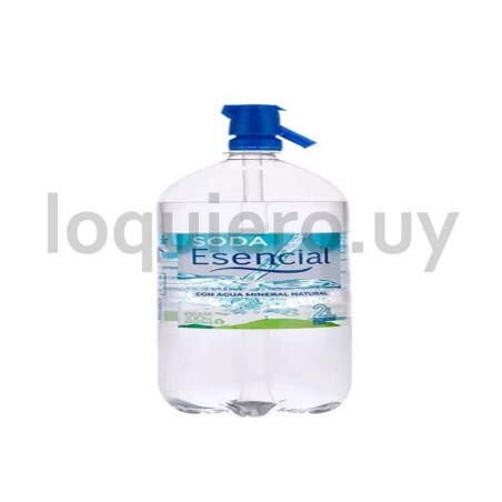 Agua Esencial c/gas 2L        .