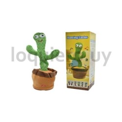 Cactus bailarín               .
