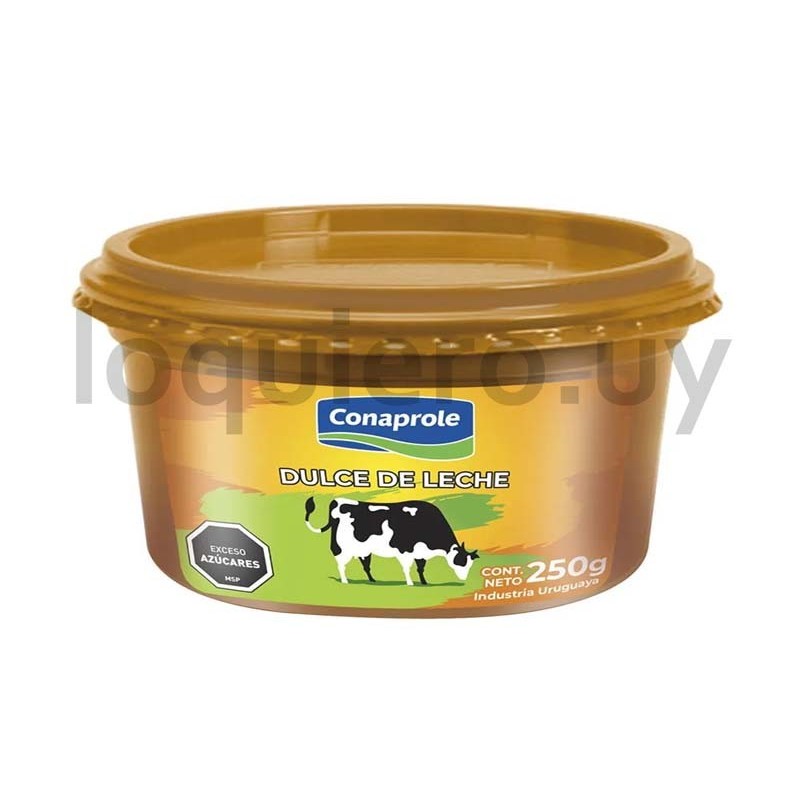Dulce de leche 250g Conaprole .