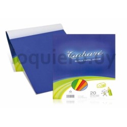 Papel Afiche x 20 hojas       .