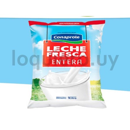 Leche fresca entera Conaprole .