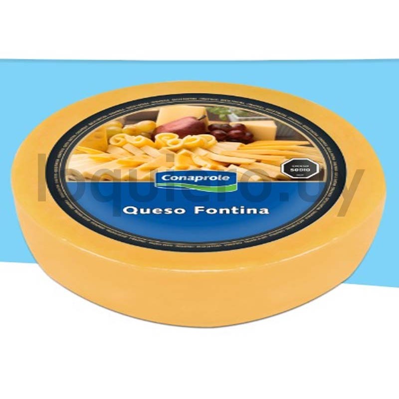 Queso Fontina  Conaprole      .