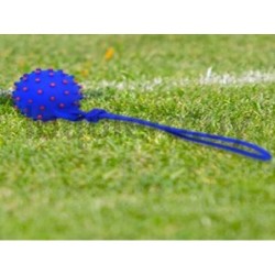 Pelota con cuerda y sonido    .
