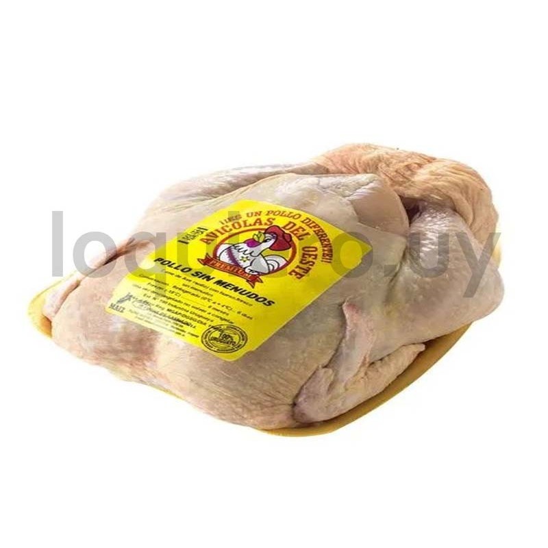 Pollo                         .