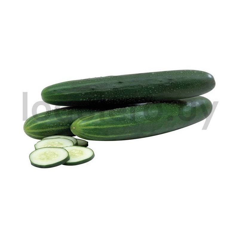 Pepino                        .