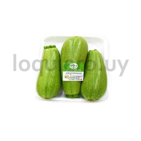 Zucchini                      .
