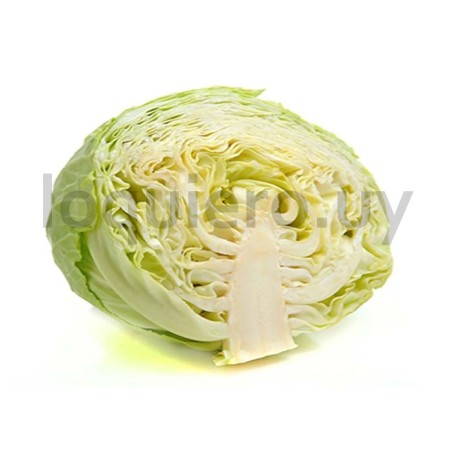Repollo blanco                .