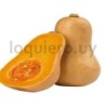 Zapallo calabaza              .