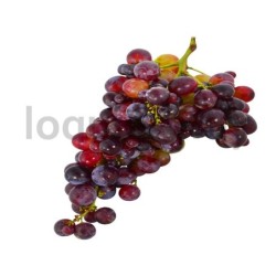 Uva Moscatel                  .