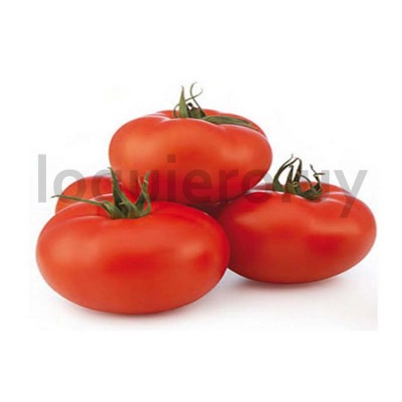 Tomate 1ra                    .