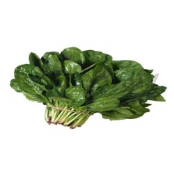 Espinaca                      .