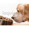 Alimento para perros          .