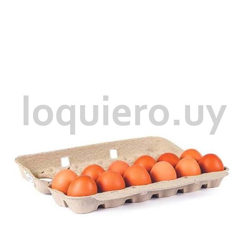 Huevos extra x 12             .
