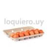 Huevos extra x 12             .