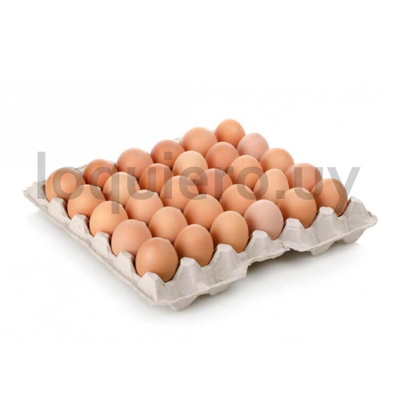 Huevos grandes x 30           .