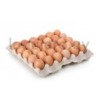 Huevos grandes x 30           .